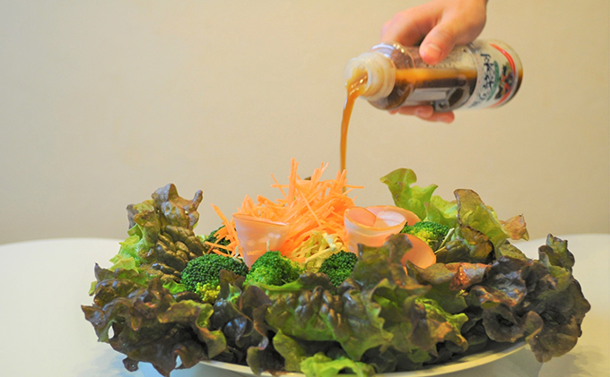 静岡県浜松市のふるさと納税 野菜村　ドレッシングギフトセット 調味料