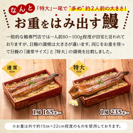 鹿児島県志布志市のふるさと納税 日ノ本一の鰻の蒲焼き＜特大＞3尾セット(計705g以上) c2-009