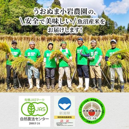 新潟県魚沼市のふるさと納税 米 定期便 6ヶ月 ツバメの飛び交う 棚田米 5kg コシヒカリ 精米 白米 お米 魚沼産コシヒカリ 新潟米 新潟 魚沼市 定期 6回