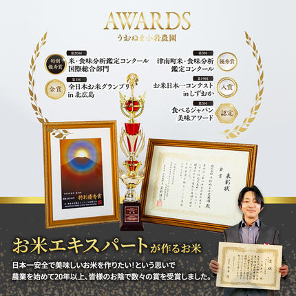新潟県魚沼市のふるさと納税 米 定期便 12ヶ月 ツバメの飛び交う 棚田米 5kg コシヒカリ 精米 白米 お米 魚沼産コシヒカリ 新潟米 新潟 魚沼市 定期 12回