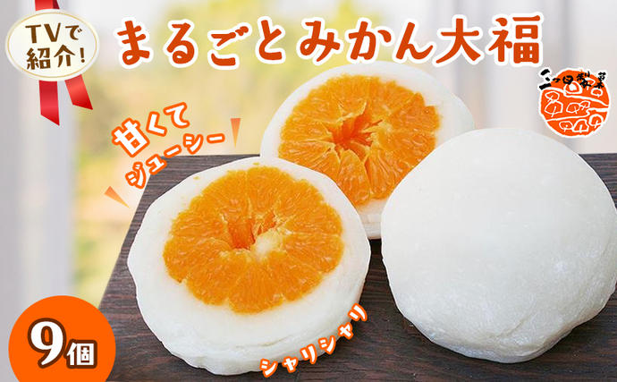 大福 まるごと みかん大福 詰め合わせ セット 三ヶ日みかん みかん