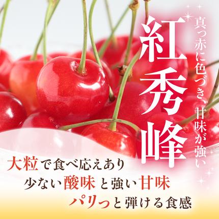 北海道仁木町のふるさと納税  [先行受付] さくらんぼ 紅秀峰 2Lサイズ 以上1kg（500g×2パック）化粧箱入 サクランボ チェリー フルーツ 果物 果物類 ギフト 贈答品 北海道 仁木町 仁木 [小林信幸]