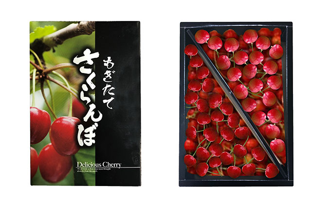 北海道仁木町のふるさと納税 先行受付 北海道 仁木町産 さくらんぼ (Lサイズ以上）800g～900g 佐藤錦 又は 紅秀峰　サクランボ チェリー フルーツ 果物 果物類 ギフト仁木町 仁木 [くだものの笠井園]