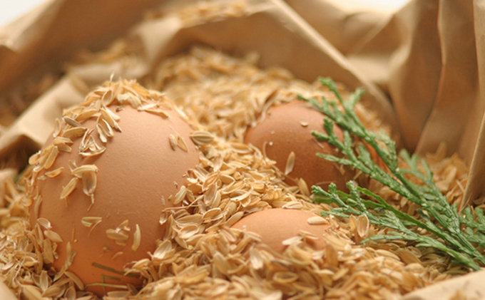 兵庫県小野市のふるさと納税 卵 定期便 12ヶ月 播州こく旨卵 50個入り＋割れ保証5個付 高級 たまご 鶏卵 高級卵 高級たまご ビタミンE ビタミン TKG 卵かけご飯 送料無料 冷蔵 冷蔵配送 兵庫 兵庫県 小野市 定期 12回