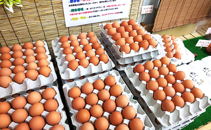 兵庫県小野市のふるさと納税 卵 定期便 12ヶ月 播州こく旨卵 50個入り＋割れ保証5個付 高級 たまご 鶏卵 高級卵 高級たまご ビタミンE ビタミン TKG 卵かけご飯 送料無料 冷蔵 冷蔵配送 兵庫 兵庫県 小野市 定期 12回