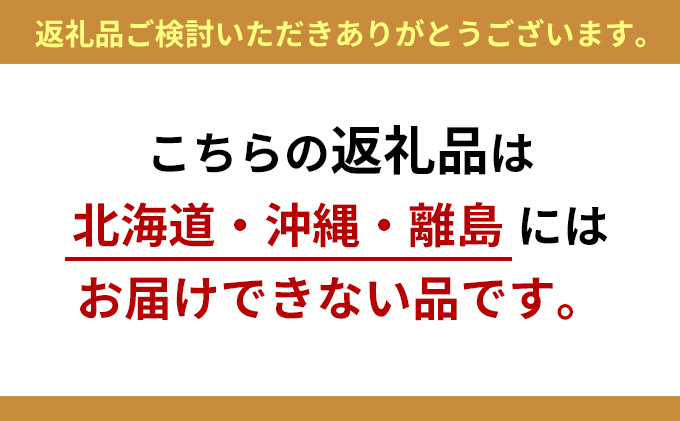 静岡県浜松市のふるさと納税 光の楽園　ウッドボックスSL【配送不可：北海道・沖縄・離島】 インテリア、人工植物、造花