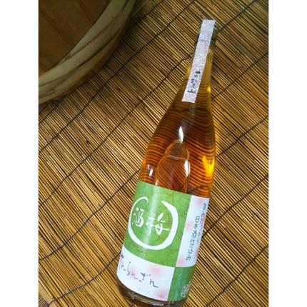 埼玉県飯能市のふるさと納税 天覧山 日本酒で仕込んだ「梅酒」 1.8L[52210357] お酒 洋酒 リキュール