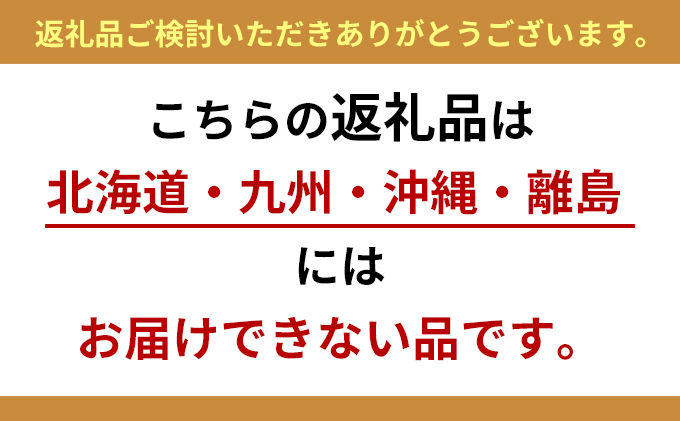 静岡県袋井市のふるさと納税 野菜 とれたて 季節の野菜 パック 8品前後 詰め合わせ セット 野菜セット 旬の野菜 旬 野菜詰め合わせ 野菜詰め合わせセット 産地直送 送料無料 たまねぎ にんじん じゃがいも ほうれん草 トマト キャベツ しいたけ 大根 白菜 冷蔵 静岡
