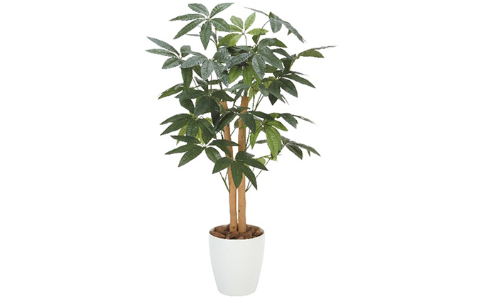 静岡県浜松市のふるさと納税 光の楽園　パキラ90【配送不可：北海道・沖縄・離島】 インテリア、人工植物、造花