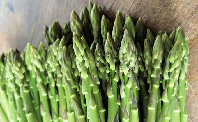 香川県東かがわ市のふるさと納税 少し訳ありSWANの特選アスパラ1kg【さぬきのめざめ】 野菜 野菜セット アスパラガス 訳ありアスパラ