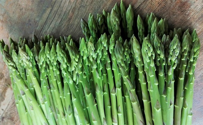 香川県東かがわ市のふるさと納税 少し訳ありSWANの特選アスパラ1kg【さぬきのめざめ】 野菜 野菜セット アスパラガス 訳ありアスパラ