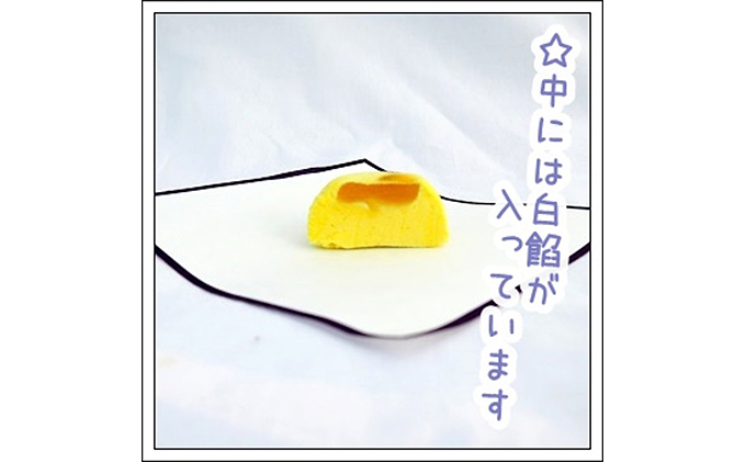 京都府宇治田原町のふるさと納税 〈京の老舗〉和風マシュマロ「あにまろ」4箱セット〈スイーツ お菓子 洋菓子 和菓子 マシュマロ 白あん 白餡 動物 かわいい ギフト 贈り物 加工食品〉 生菓子