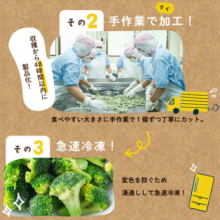 鹿児島県志布志市のふるさと納税 【志布志市制20周年記念】鹿児島県産 冷凍ブロッコリー(計1.2kg) p9-044