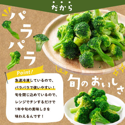 鹿児島県志布志市のふるさと納税 【志布志市制20周年記念】鹿児島県産 冷凍ブロッコリー(計1.2kg) p9-044