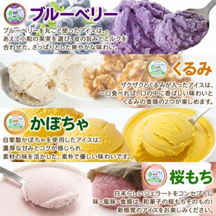 北海道弟子屈町のふるさと納税 1333.アイスクリーム ジェラート 食べ比べ 8個 アイス A セット 手作り 北海道 弟子屈町