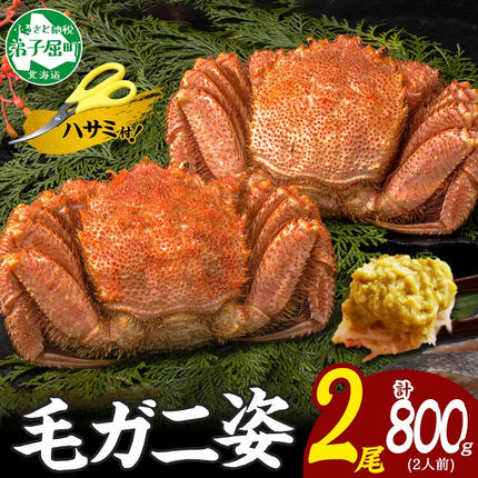 北海道弟子屈町のふるさと納税 3357. 毛蟹 2尾 計800g前後 食べ方ガイド・専用ハサミ付 カニ かに 蟹 海鮮 ボイル 送料無料 北海道 弟子屈町
