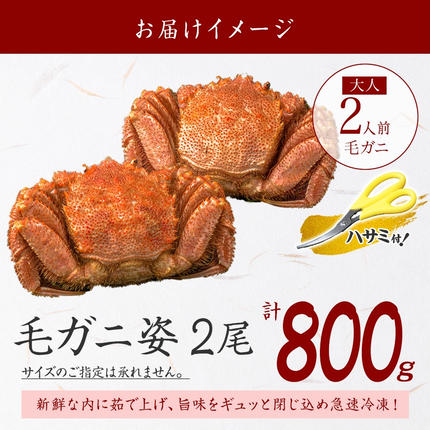 北海道弟子屈町のふるさと納税 3357. 毛蟹 2尾 計800g前後 食べ方ガイド・専用ハサミ付 カニ かに 蟹 海鮮 ボイル 送料無料 北海道 弟子屈町