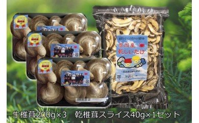 143.摩周産 菌床生しいたけ・乾燥しいたけセット（生200g×3パック