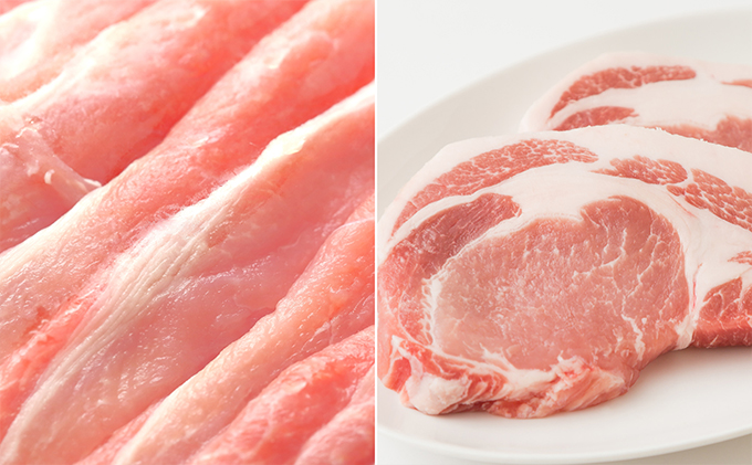 香川県綾川町のふるさと納税 讃岐もち豚 ローススライス・テキカツ 各1kgセット お肉 豚肉