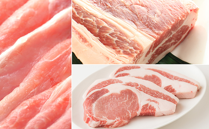 香川県綾川町のふるさと納税 讃岐もち豚 ローススライス1kg・ブロック4kgセット お肉 豚肉