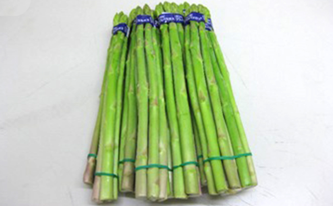 香川県綾川町のふるさと納税 香川県オリジナルアスパラガス「さぬきのめざめ」夏芽 約1.5kg 野菜