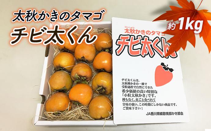 太秋かきのタマゴ「チビ太くん」 果物類 / 香川県綾川町 | セゾンの