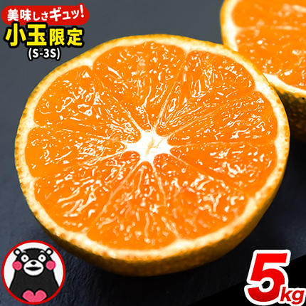 みかん 訳あり くまもと小玉みかん 5kg