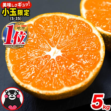 みかん 訳あり くまもと小玉みかん 5kg