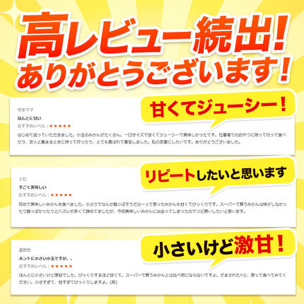 熊本県長洲町のふるさと納税 みかん 訳あり くまもと小玉みかん 5kg (2.5kg×2箱) 秋 旬 先行予約 ちょっと訳あり 不揃い 傷 ご家庭用 SDGs 小玉 たっぷり 熊本県 産 S-3Sサイズ フルーツ 旬 柑橘 長洲町 温州みかん《9月下旬-12月下旬頃出荷》