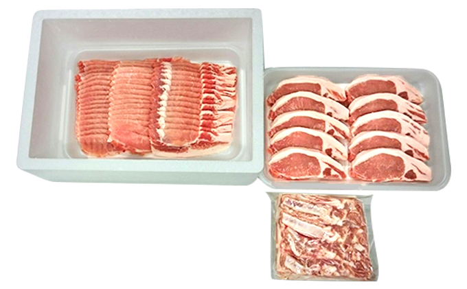 香川県綾川町のふるさと納税 讃岐もち豚 ローススライス・テキカツ・ブロック 各1kgセット お肉 豚肉