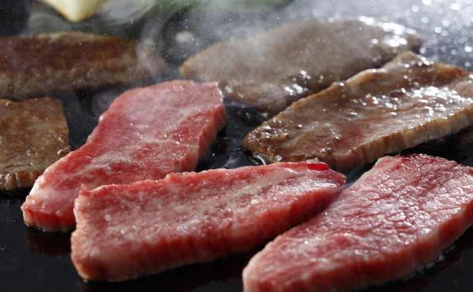 福岡県朝倉市のふるさと納税 井上牧場 朝倉和牛　焼肉セット ※配送不可：離島 九州産 国産牛 牛肉 冷凍 送料無料 お肉