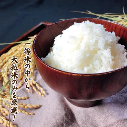 島根県邑南町のふるさと納税 令和7年産邑南町瑞穂産コシヒカリ10kg（5kg×2）