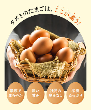 兵庫県市川町のふるさと納税 【累計600万個突破！】★TVで紹介されました★【定期便】タズミの卵Ｍサイズ（30個×6か月）044AB01N.／こだわり卵 市川町産 兵庫県産 たまご 卵 たまごかけご飯 玉子 生卵 鶏卵 タマゴ 卵焼き TKG 6か月 定期便
