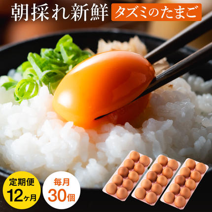 兵庫県市川町のふるさと納税 【累計600万個突破！】★TVで紹介されました★【定期便】タズミの卵Ｌサイズ（30個×12ヶ月）097AB01N.／こだわり卵 市川町産 兵庫県産 たまご 卵 たまごかけご飯 玉子 生卵 鶏卵 タマゴ 卵焼き TKG 12か月 定期便