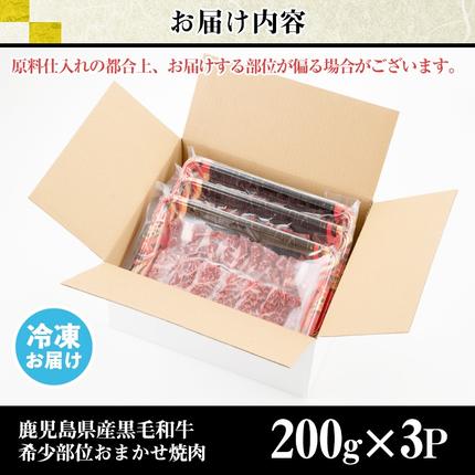 鹿児島県日置市のふるさと納税 No.547 鹿児島県産黒毛和牛希少部位おまかせ焼肉(計600g・200g×3P)【LRプラスK】