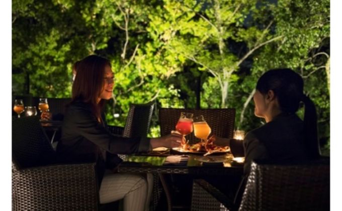 埼玉県飯能市のふるさと納税 CARVAAN BREWERY クラフトビール[52210049] お酒 飲み比べ