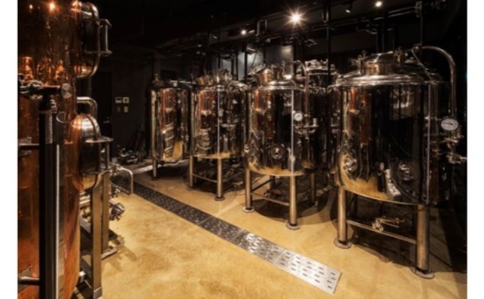 埼玉県飯能市のふるさと納税 CARVAAN BREWERY クラフトビール[52210049] お酒 飲み比べ