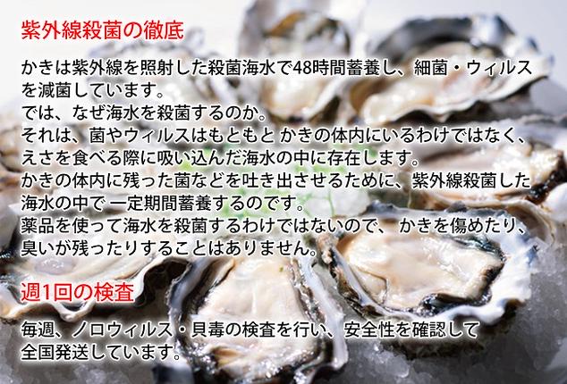 北海道厚岸町のふるさと納税 厚岸産 ブランドかき カキえもん LLサイズ 12個  牡蠣 魚介類