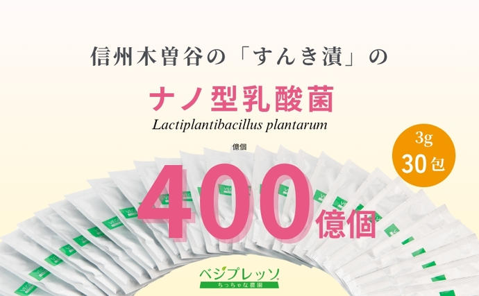 無添加 青汁 乳酸菌青汁400 3g 30包 セット 詰め合わせ 粉末青汁