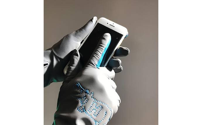 香川県東かがわ市のふるさと納税 スマホ対応羊革レディース手袋（HIPPO`刺繍）