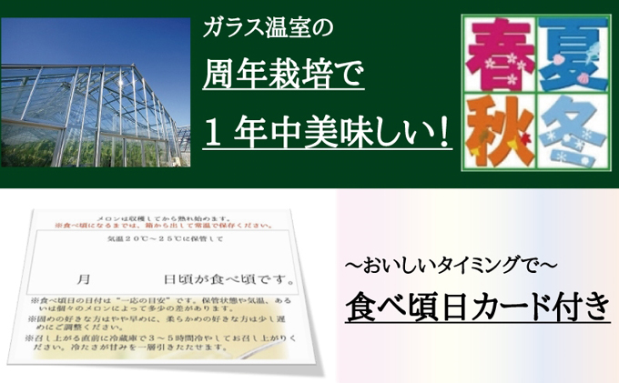 静岡県袋井市のふるさと納税 『クラウンメロン 訳あり メロン 1玉』 静岡 マスクメロン 傷 フルーツ 果物 デザート