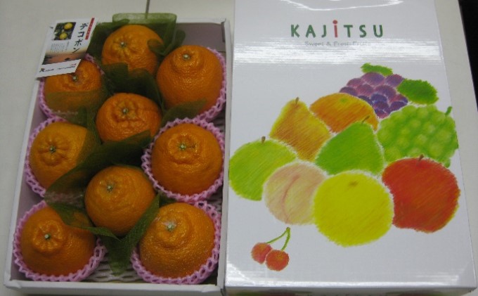 香川県綾川町のふるさと納税 ハウスデコポン（しらぬひ）化粧箱（約2kg）_デコポン 果物類 みかん 柑橘類 ミカン 蜜柑 くだもの