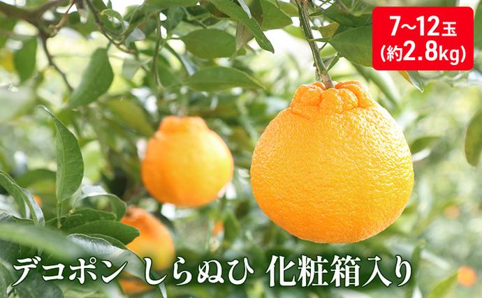 香川県綾川町のふるさと納税 ハウスデコポン（しらぬひ）化粧箱（約2.8kg）_デコポン 果物類 みかん 柑橘類 ミカン 蜜柑 くだもの