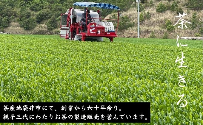 静岡県袋井市のふるさと納税 厳選　深蒸し上煎茶《薫》(2)（80g×5袋）