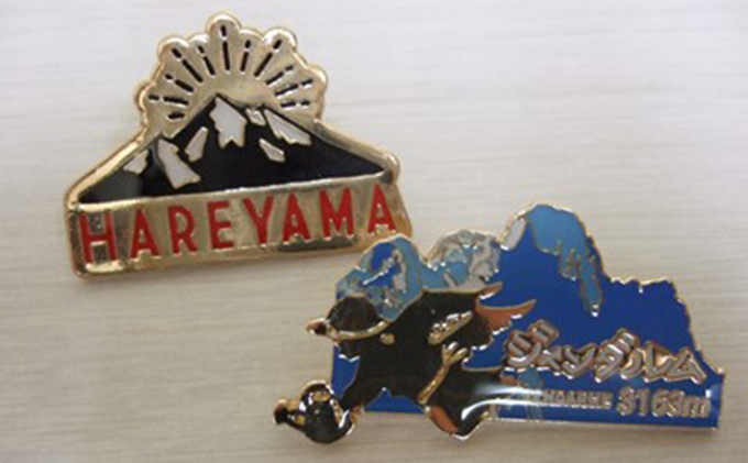 愛知県日進市のふるさと納税 アイゼンメンテナンス　アイゼン（10本爪） チケット