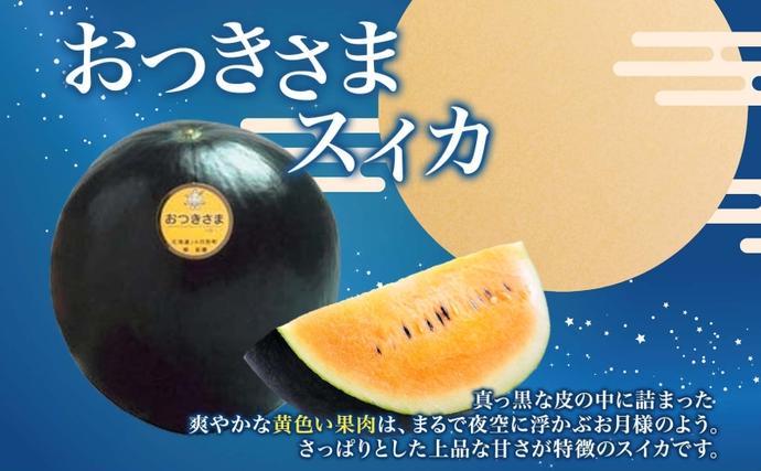 北海道 黄色 大玉 スイカ おつきさま 1玉 約7kg 2026年7月初旬より順次