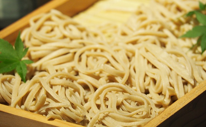 長野県小諸市のふるさと納税 移住体験ツアー参加券 長野 信州 小諸 体験チケット チケット