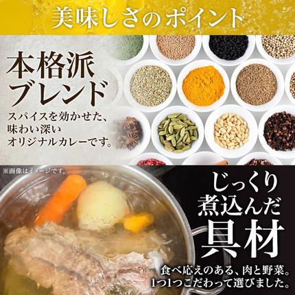 北海道弟子屈町のふるさと納税 3150.北国の丸ごとチキンレッグ スープカレー カレー 20食 備蓄 大量 送料無料 北海道 弟子屈町