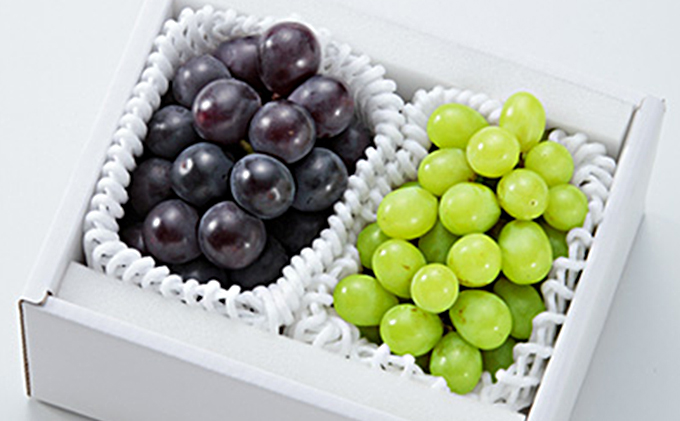 岡山県赤磐市のふるさと納税 ぶどう 2026年 先行予約 シャイン マスカット 晴王 1房 ニューピオーネ 大粒 大房 1房 合計1.3kg以上 ブドウ 葡萄 岡山県 赤磐市産 国産 フルーツ 果物 ギフト 赤坂青空市 果物類