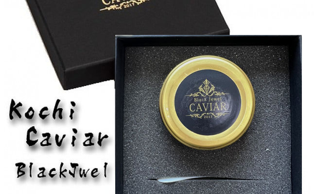 高知県芸西村のふるさと納税 KYF004　熟成キャビア（30g）ブラックジュエル化粧箱入り シェルスプーン付 チョウザメ 卵 魚卵 高知県産 【koyofr】卵一粒に旨みが凝縮【geiseiymt】〈高知市共通返礼品〉